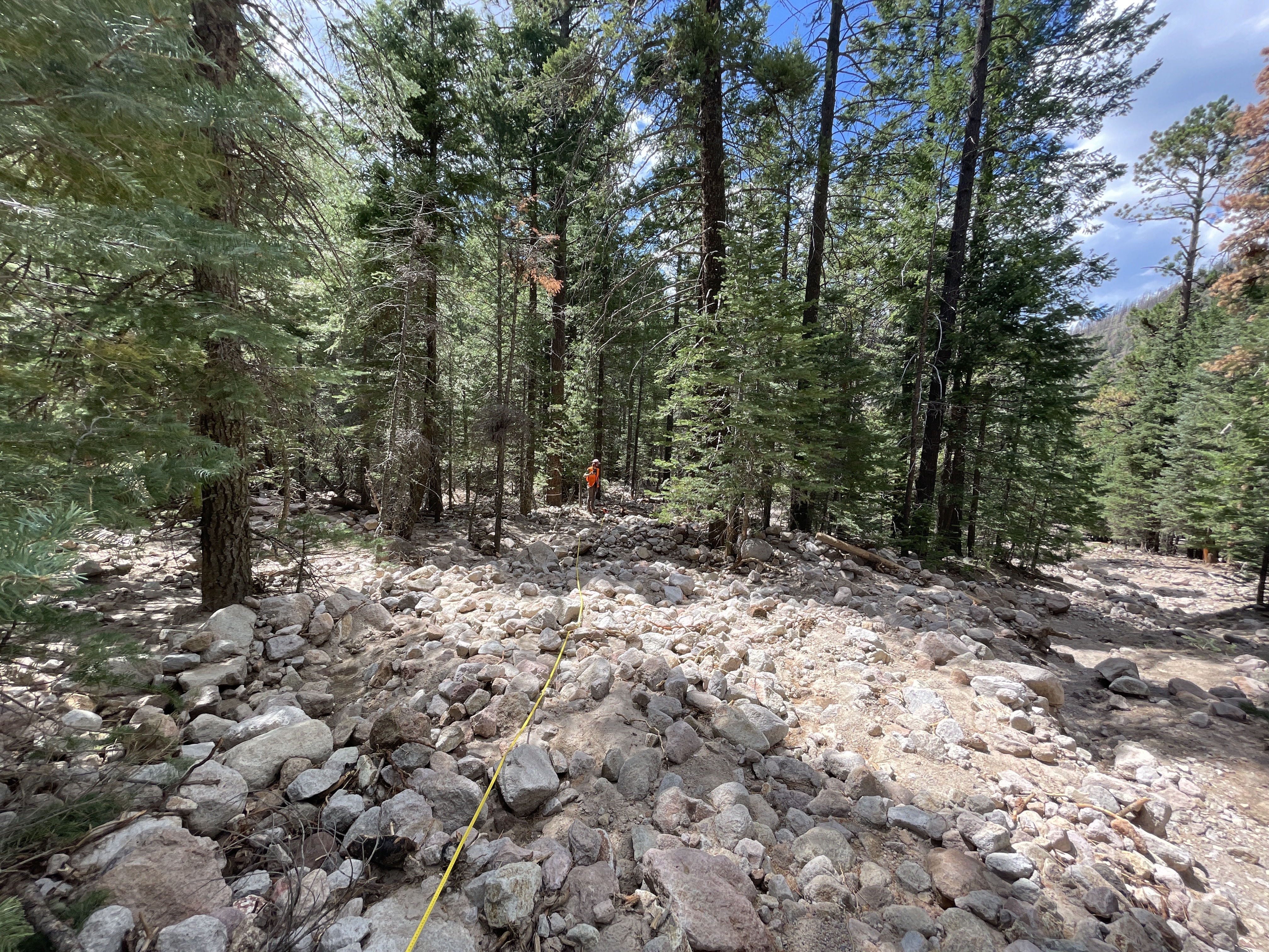Fresh debris flow deposit associated with 2020 Museum Fire of northern Arizona