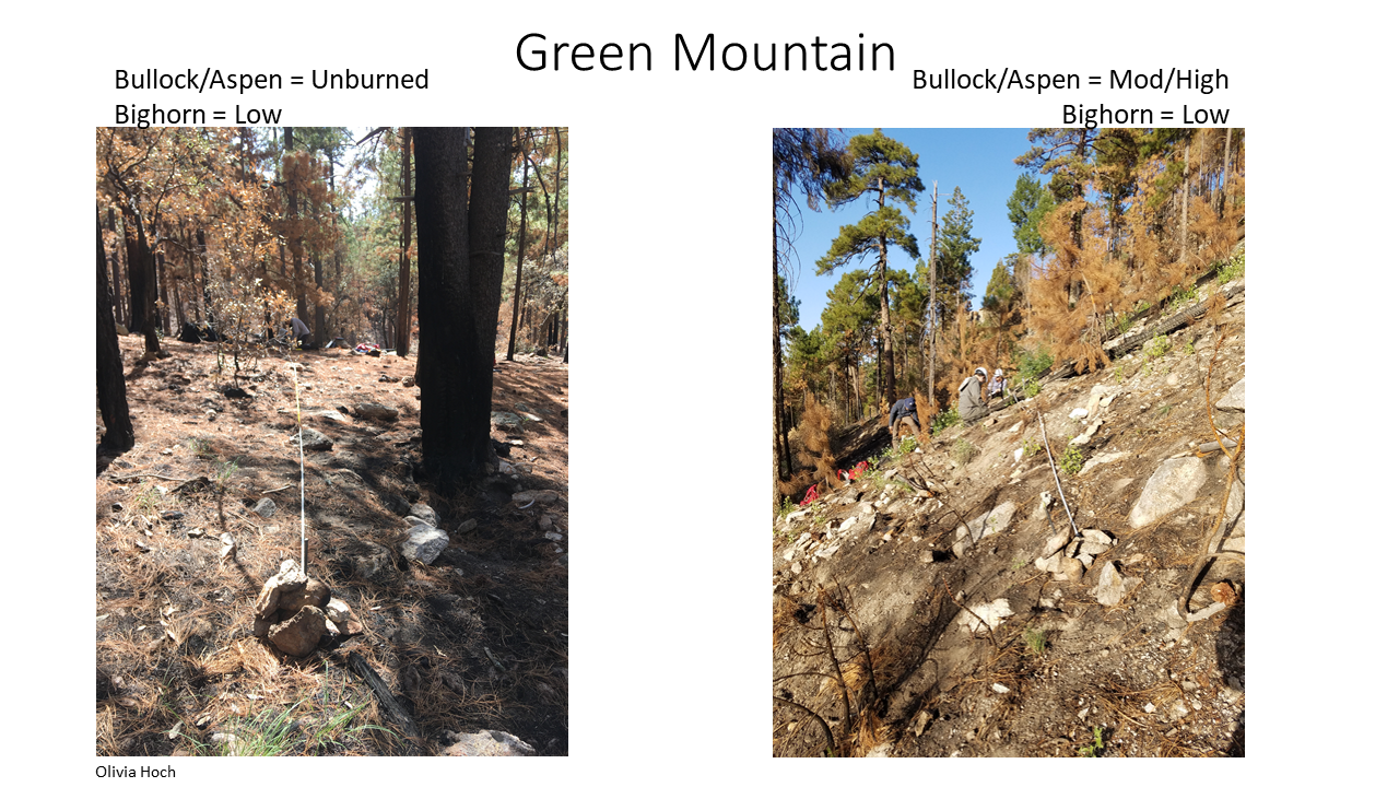 geomorphic study