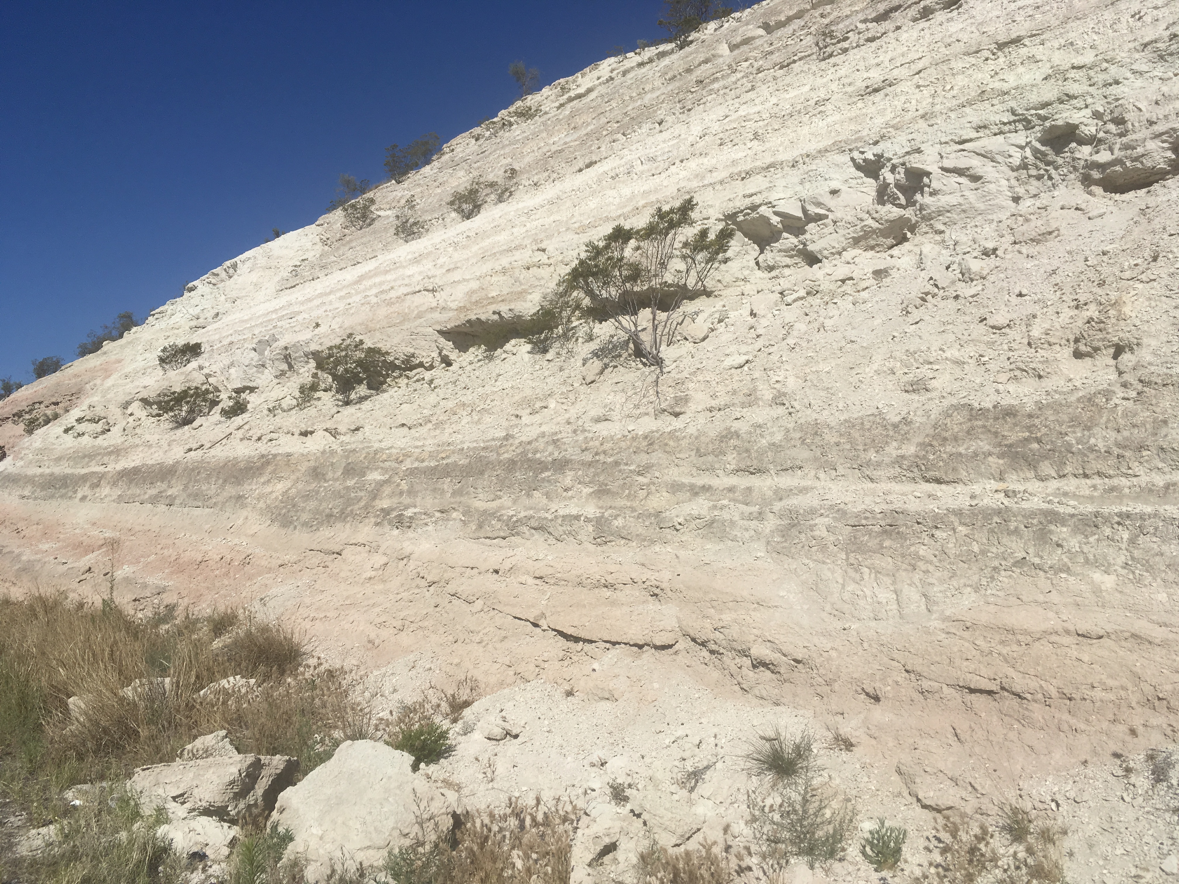 Verde Formation exposed on I-17