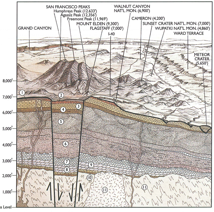Cross section through Flagstaff area on Colorado Plateau