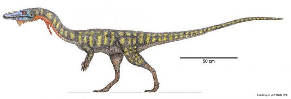 dinosaur - PFNP