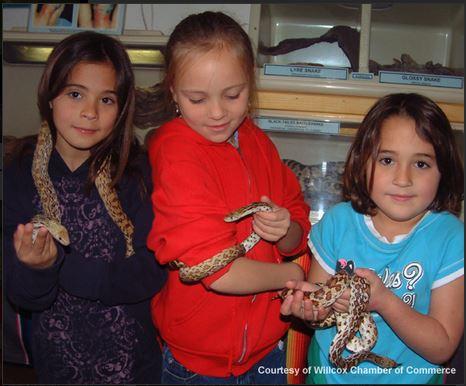 Snake charmers from Cochise County