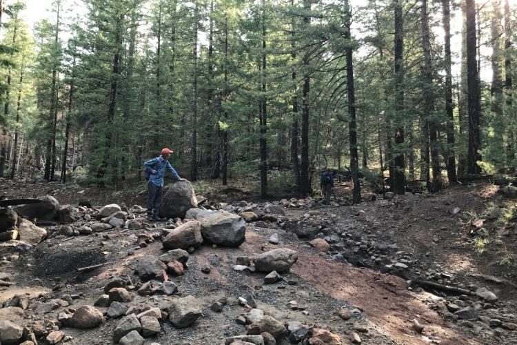 Viewing fresh debris flow deposits